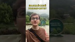 Учеба в Китае. Шанхайский университет  #обучениевкитае #учебавкитае #китайский  #гранткитай