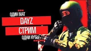 Тупо DayZ на своем сервер!