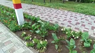 Гнусарихи так врут! что даже глазом не моргнут!!