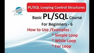 PL SQL For Loop - PL SQL While Loop Example - Loops in Oracle PL SQL - PL SQL Loop
