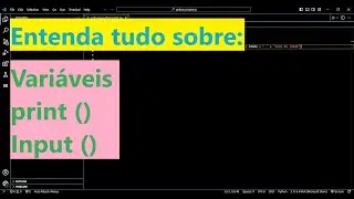 Python Lição 2: Entenda tudo sobre Variaveis, print e input