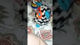 Лёвушка тиви ставим