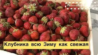 Клубника без варки. Сладкая заморозка