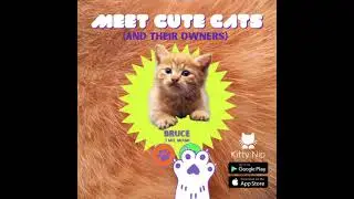 Join Kitty Nip App for Cats & Friends & Lovers