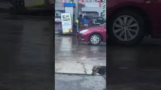 Mandeville Jamaica fire fesco gas station - how it start