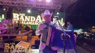 LA PIEDRECITA/LOS BANDA JR DE SALAMANCA