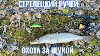 Рыбалка на платном пруду на щуку на стрелецком ручье