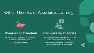 Theories and Research on Classical Conditioning