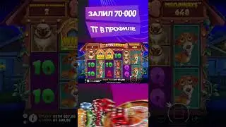 ЗАНОСЫ НЕДЕЛИ В THE DOG HOUSE MEGAWAYS // ЗАНОС С БОНУСКИ ЗА 200К // #shorts