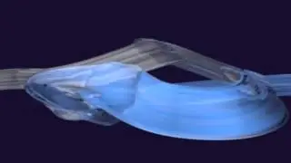 Flow 1 - Looping animation - Liquid flow - After Effects - Presenter Pro
