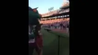 Lilly Play Ball Redsox!