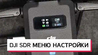 DJI SDR МЕНЮ И НАСТРОЙКИ ВИДЕОСЕНДЕРА