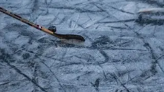 H jak Hokej | H For Hockey