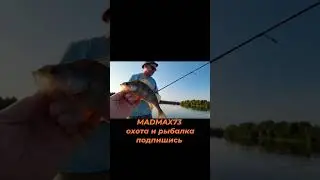 Окунь на ручной троллинг ))) #блесна #рыбалка #жизнь #fishing #речка #карп