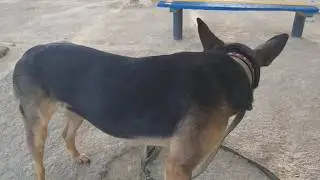 Прощай, лето!
