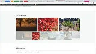 WooCommerce Product Gallery Thumbnail Slider in Bricks