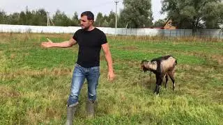 Обращение Артёма Петухова к властям