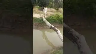 Talha Ghaffar Crossing The local Bridge #fypシ #bridge #everyone #world #funny
