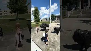 В колледж поступила👌 регистрацию закончила, идём смотреть детский сад 😄