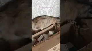 правильно понял или нет