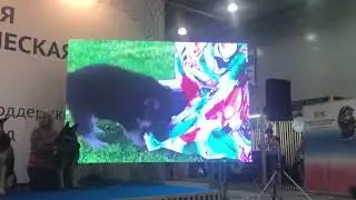 Презентация Породы ВЕО
