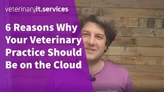6 Reasons Why Your Veterinary Practice Should Be on the Cloud