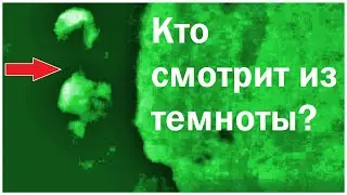 Кого Сняла Скрытая Камера на Заброшенной Базе ? (Разбор видео от подписчика)