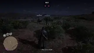 RDR2 Online - Teleport Hacker