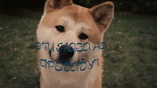 Хати