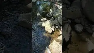 Gatlinburg, TN Throwing stones into the river #shortvideo #shortsvideo #shorts #short
