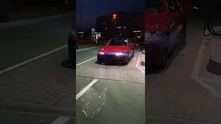 Итальянка чистокровная 🇮🇹 