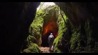 Aliens in the Black Forest in Germany (1952)