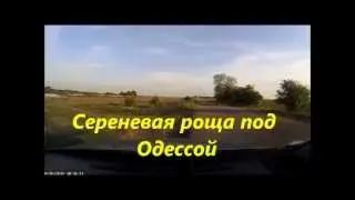 Сиреневая роща под Одессой с картой