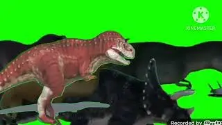 The Animals (Stampede 3!) Green Screen