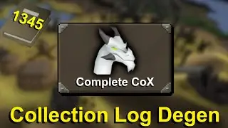 RAIDS BINGO, where I played 16 Hours a Day  ~ Ironman Collection Log Degen E117