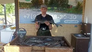 СОМЫ+ОСЕТРЫ. ШИКАРНАЯ РЫБАЛКА В ПОСЕЙДОНЕ