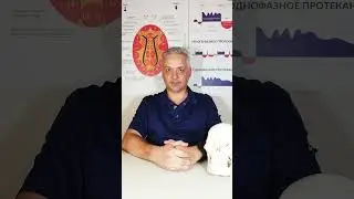 Преображение Ума: Корни и причины наших страданий, страхов, переживаний. Путь к бесстрашию.