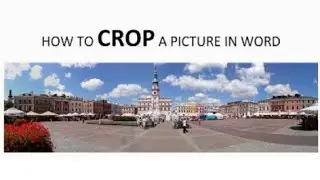 how to crop / adjust a image / picture in word