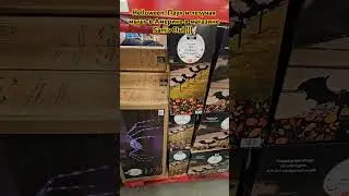 Паук и летучая мышь в Америке #паук #летучаямышь #helloween #ценавсша #скидкивсша #всша #распродажав
