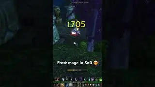 Frost mage is back #worldofwarcraftclassic #wowpvp #worldofwarcraft #sod #wowsod #wowclassicsod