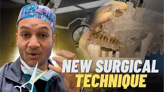 Building a NEW Jaw with the LEG BONE | Surgeon Day in the Life