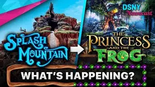1 Year Later | SPLASH MOUNTAIN Changing to Princess and the Frog - Disney News - June 25, 2021