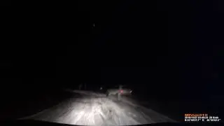Погоня егеря и охотинспектора за браконьерами в Саратовской области