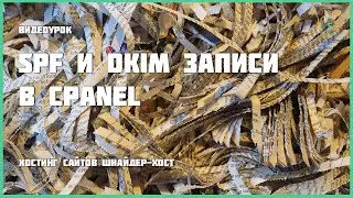 SPF и DKIM записи в cPanel