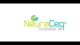 logo animation