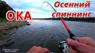 Осенний спиннинг на Оке 2020. Рыбалка с берега на воблеры.