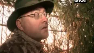 Duck hunting with a duck decoy. Hunting for woodcock