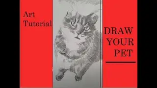 20-Min. Tutorial: Draw Your Pet using Six Basic Drawing Skills