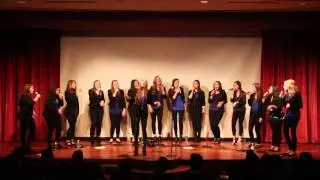 365 Days-ZZ Ward (UW Tangled Up In Blue)