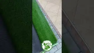 А какие растения нравятся вам ?